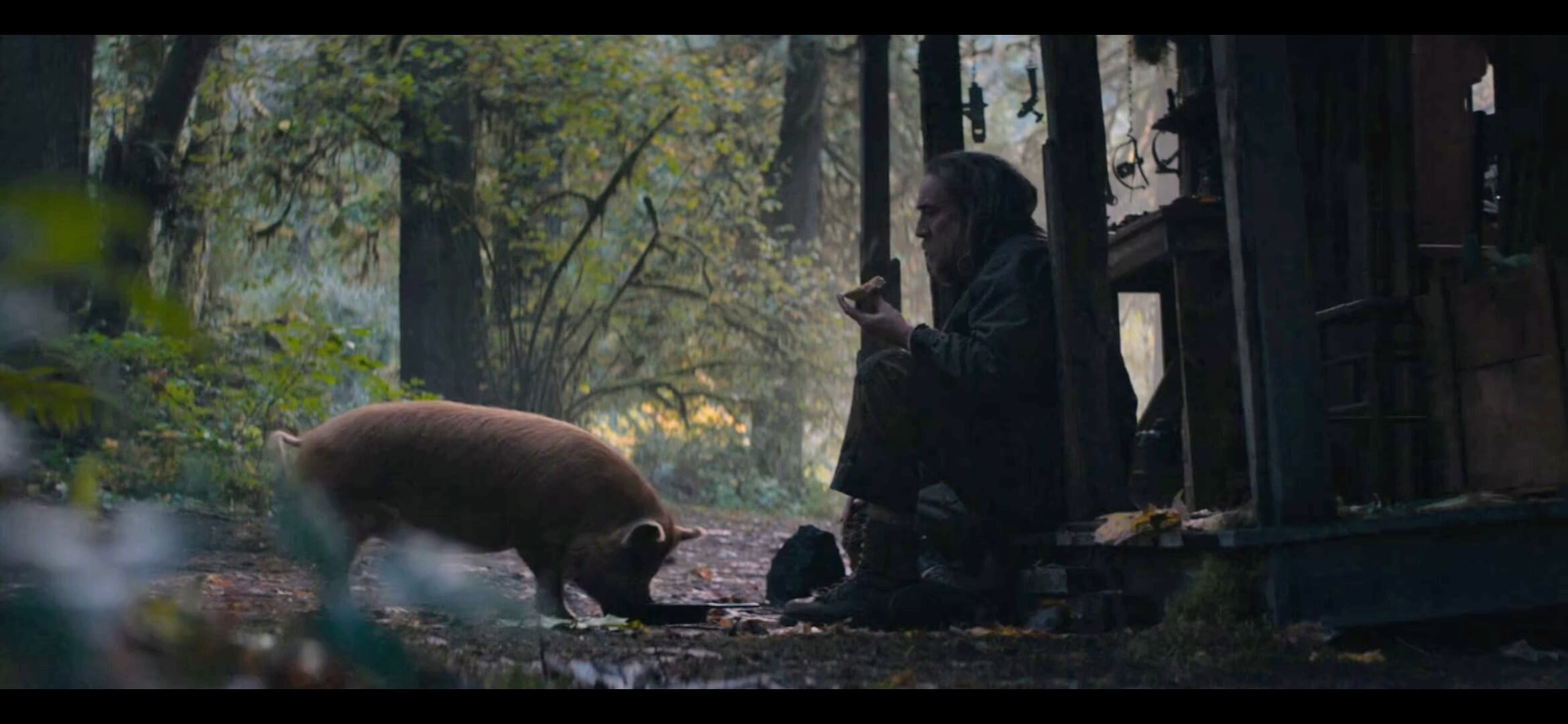 تجزیه و تحلیل فیلم Pig 2021 | سفر به درون آدمی